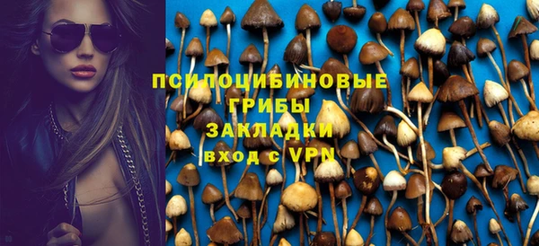 спиды Алзамай