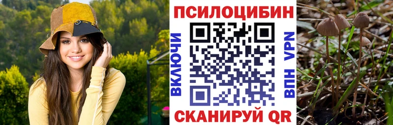 продажа наркотиков  Чишмы  Галлюциногенные грибы ЛСД 